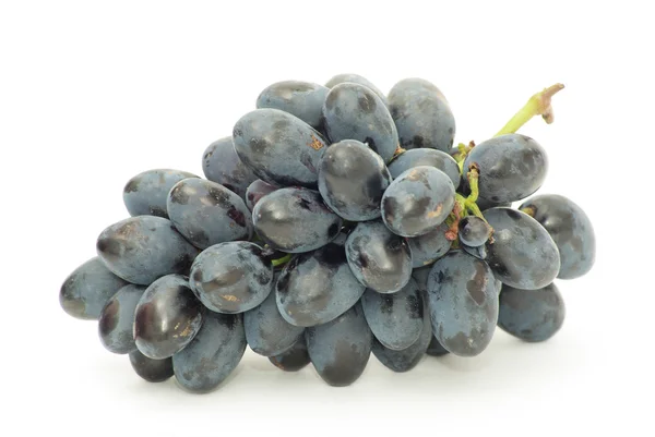 Winogron biały — Zdjęcie stockowe