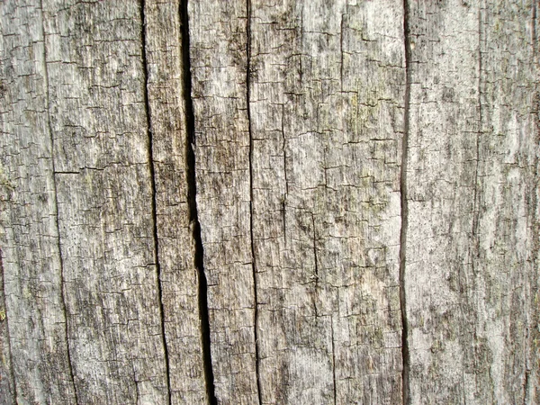 Fundo de madeira muito antiga — Fotografia de Stock