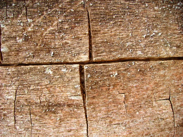 Background from very old wood — Stock Photo, Image