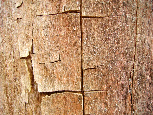 Hintergrund aus sehr altem Holz — Stockfoto