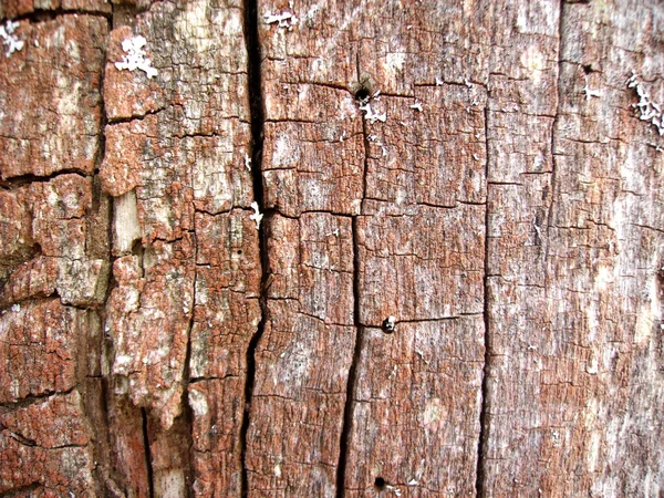 Pozadí z velmi staré dřevo — Stock fotografie