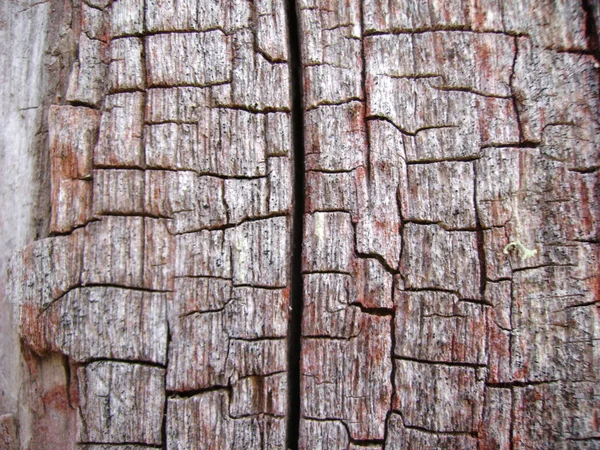 Pozadí z velmi staré dřevo — Stock fotografie