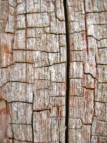 Nagyon régi fa háttér — Stock Fotó