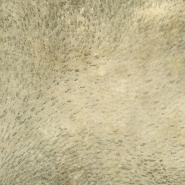 Tambor étnico superfície de couro fundo — Fotografia de Stock