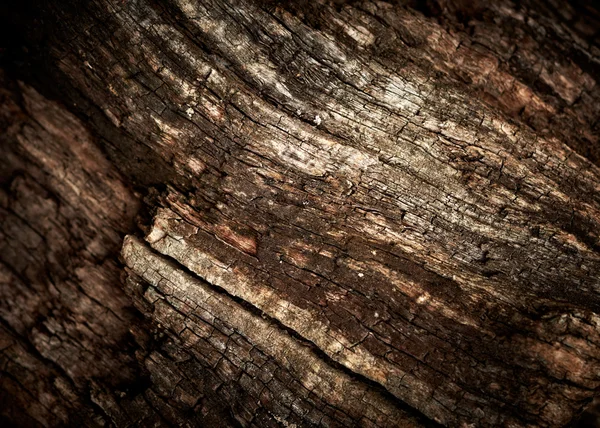 오래 된 오크 나무 질감. — 스톡 사진