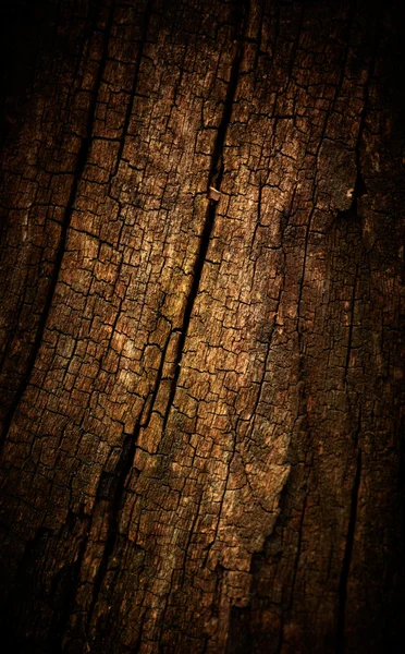 Vieux bois texture fissurée — Photo