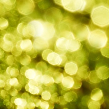 Beautiful nature green bokeh background clipart