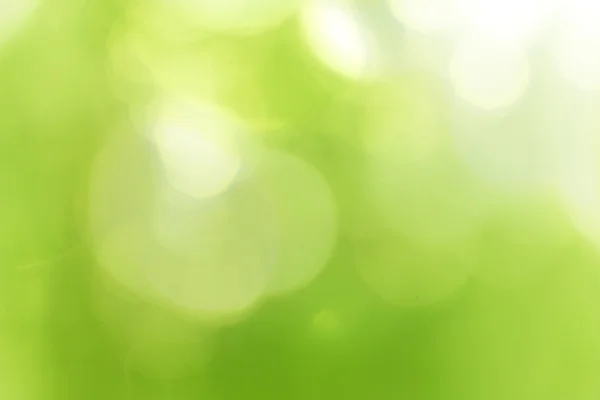 緑の森ボケ — ストック写真