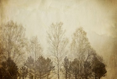 Trees on vintage paper sheet. clipart