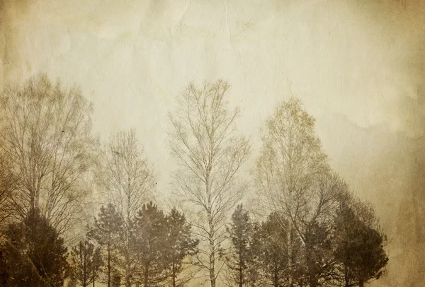 Bomen op vintage papier vel. — Stockfoto