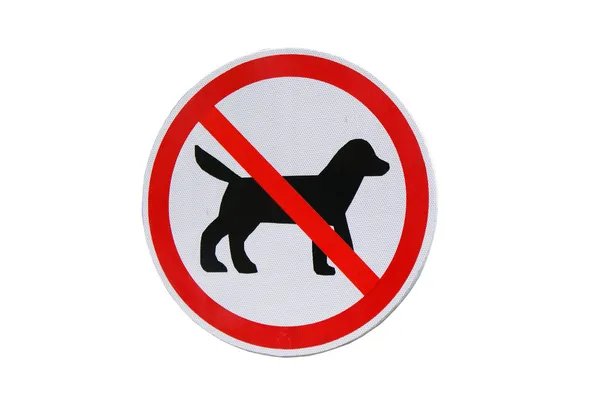 Anjing dilarang masuk. — Stok Foto
