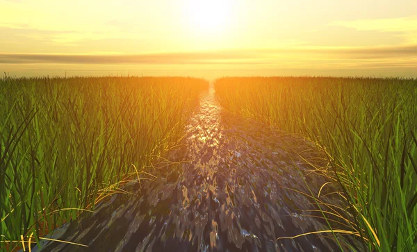 Road in green grass — Stock Photo, Image