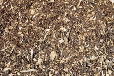 Wood Chips Background clipart