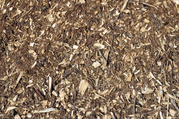 Sfondo chip di legno — Foto Stock