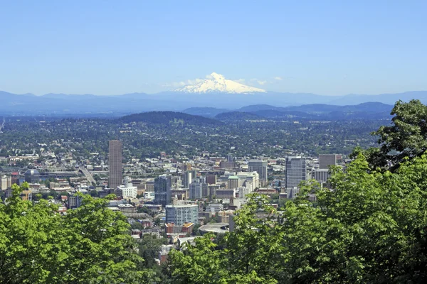 stock image City and Mountain View