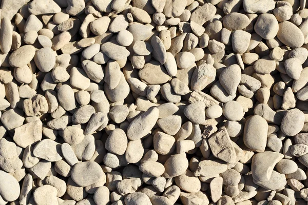 乾燥した岩 — ストック写真