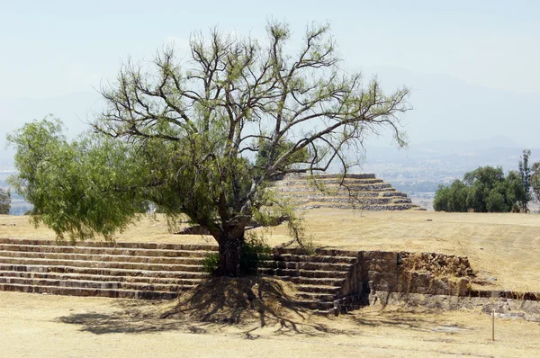 Piramid och träd på torget — Stockfoto