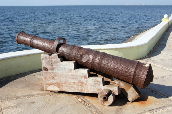 Arma na costa do mar — Fotografia de Stock