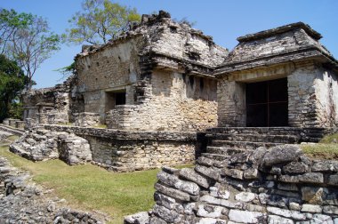 Ruins in Palenque clipart