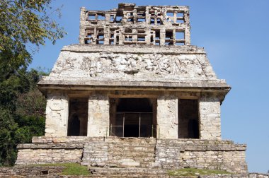 tapınakta palenque