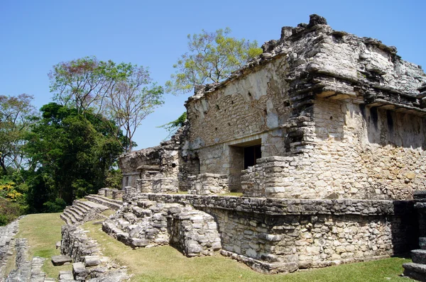 Ruínas em Palenque — Fotografia de Stock