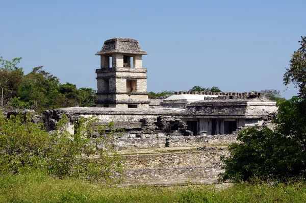 Templo en Palenque — Foto de Stock