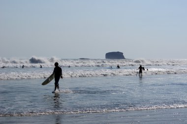 Surfers on the beach clipart