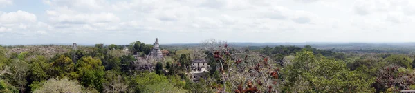 Panorama Tikal — Fotografia de Stock