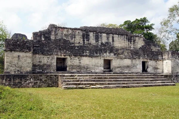 Rovine a Tikal — Foto Stock