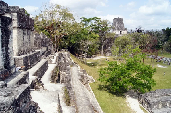 Ερείπια Tikal — Φωτογραφία Αρχείου