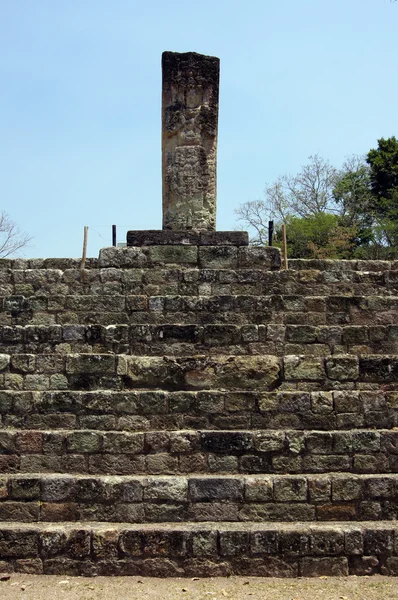 コパンの石碑 — ストック写真