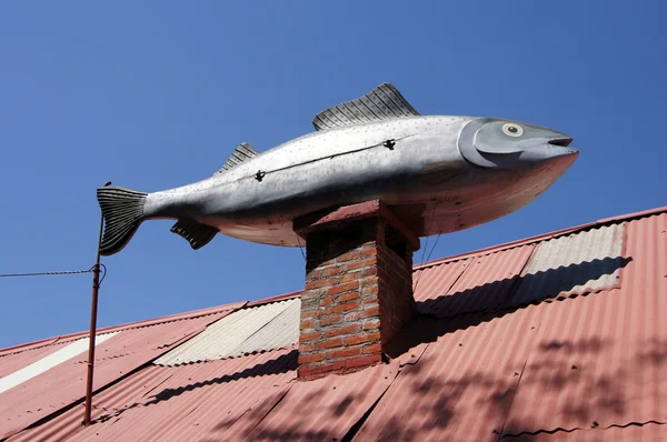 Fish on the roof — Stock Photo, Image