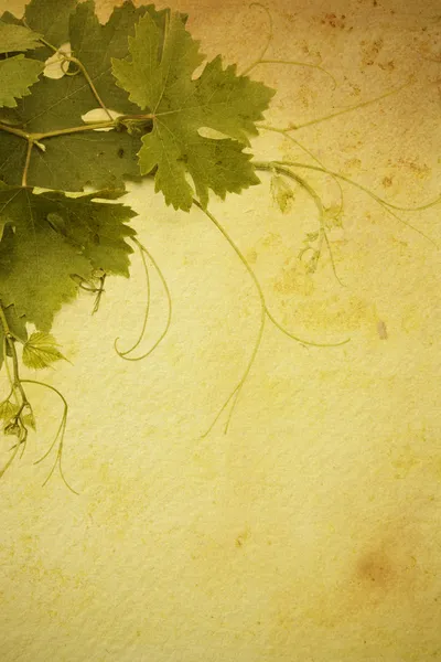 Арт-винтажный дизайн винной карты — стоковое фото