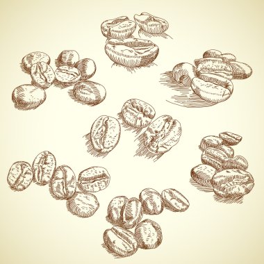 Coffee bean clipart