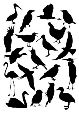 Silhouettes of birds clipart