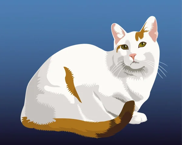 Verlegen kitty — Stockvector