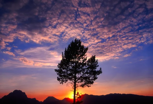 Grand teton zachód słońca — Zdjęcie stockowe