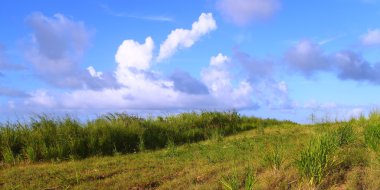 saint kitts alanları