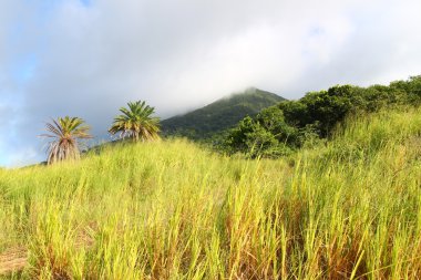 Mount liamuiga, saint kitts