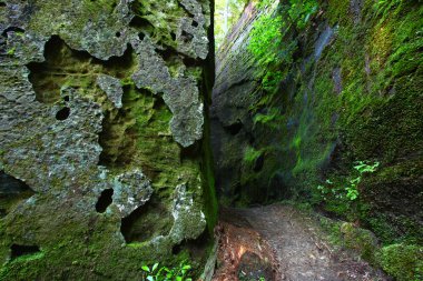 Mossy canyon in Alabama clipart