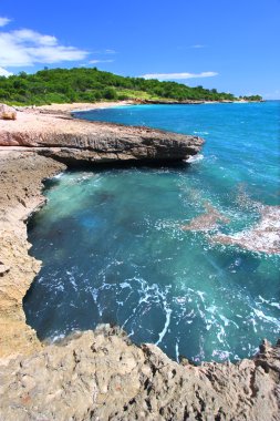 Guanica Reserve - Puerto Rico clipart