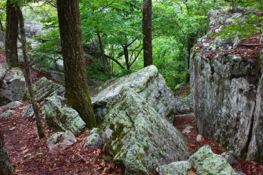 Cheaha State Park - Alabama clipart