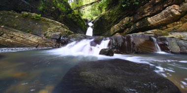 El Yunque National Forest clipart