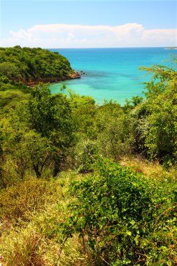 Guanica yedek - Porto Riko