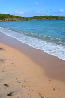 yedi deniz plaj - Porto Riko