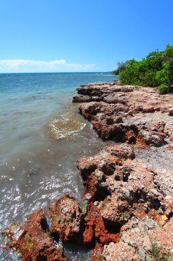 Guanica Reserve - Puerto Rico clipart