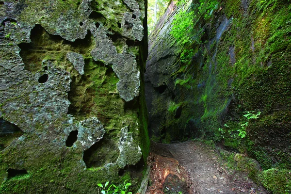 Mechate kanion w stanie alabama — Zdjęcie stockowe