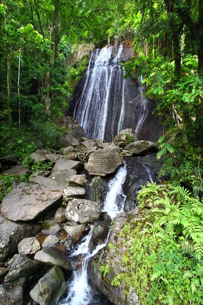 La Coca Falls - Porto Rico — Foto Stock