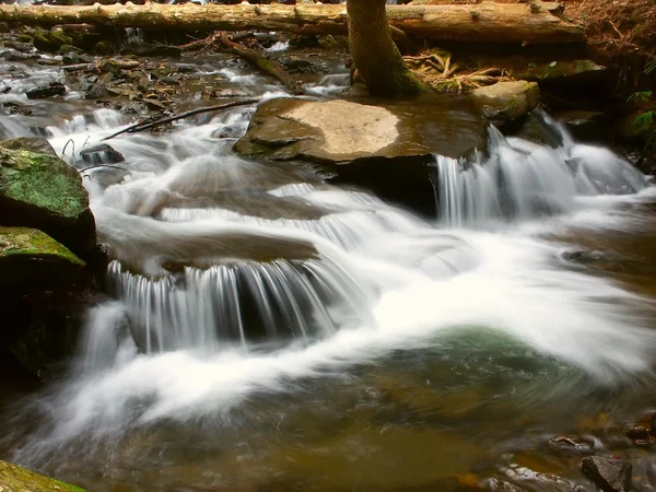 湖 trahlyta の滝 - ジョージア — ストック写真