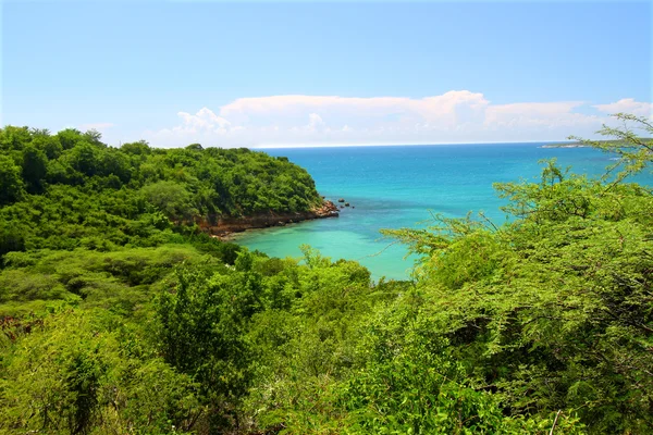 Guanica Reserve - Puerto Rico — Stok Foto